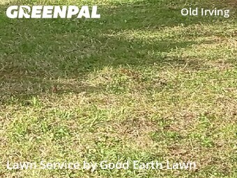 Landscaping Maintenance In Greensboro,27408,Landscaping Cleanup by Good Earth Lawn, work completed in Apr , 2026