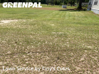 Lawn Mow nearby Valdosta, GA, 