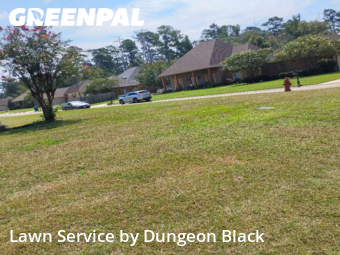Lawn Care Service nearby Denham Springs, LA, 
