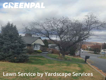 Yard Grooming in Reading, 19606, Yard Services by Yardscape Services, work completed in Dec , 2025