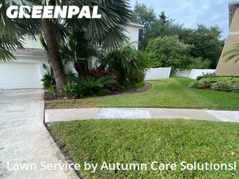 Lawn Mowing Service nearby Brandon, FL, 