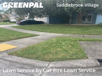 Yard Mowing nearby Wesley Chapel, FL, 