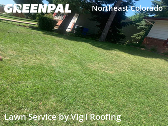 Lawn Care Service nearby Colorado Springs, CO, 