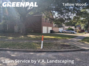 Yard Mowingin Houston,77070,Lawn Mowing Service by V.A. Landscaping, work completed in Dec , 2025