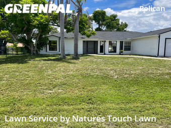 Yard Cutting nearby Cape Coral, FL, 