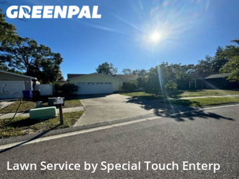 Grass Cut nearby Oldsmar, FL, 