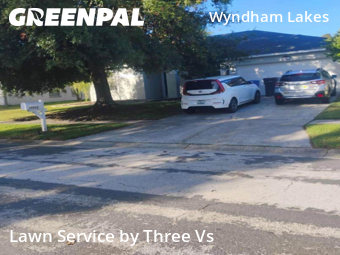 Backyard Mowing in Odessa, 33556, Yard Maintenance by Three Vs , work completed in Oct , 2025