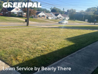 Lawn Cutting nearby Cleveland, OH, 