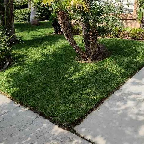 Lawn mowing work by Chulawn Care in Coronado, CA