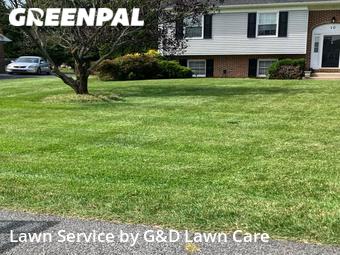 Lawn Cut nearby Bear, DE, 