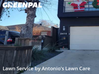 Lawn Carein Dallas,75219,Yard Cutting by Antonio's Lawn Care, work completed in Feb , 2026