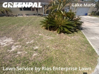 Lawn Cut nearby De Bary, FL, 