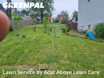 Turf Services in Ross Township, 15202, Yard Grooming by Acut Above Lawn Care, work completed in Oct , 2025