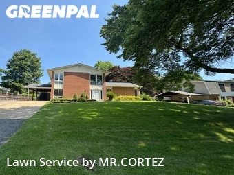 Lawn Mowing Service nearby Silver Spring, MD, 