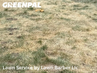 Lawn Cutting nearby Greeley, CO, 