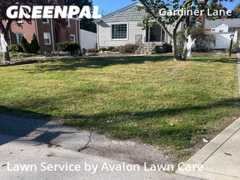 Grass Cutting nearby Louisville, KY, 