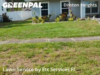 Grass Cut nearby St. Petersburg, FL, 