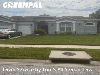 Lawn Mowing nearby Spring Hill, FL, 