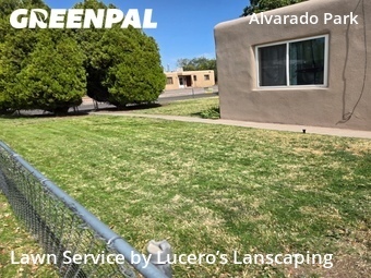 Grass Cutting nearby Albuquerque, NM, 