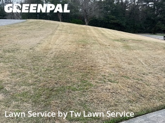 Lawn Cut nearby Macon, GA, 