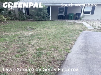 Local Lawn And Landscape Maintenance Services Near Me In Tampa,33611,Landscaping Maintenance by Geidy Figueroa, work completed in Jun , 2026