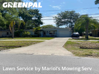 Lawn Mow nearby Oldsmar, FL, 