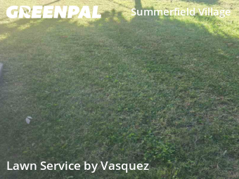 Lawn Mow nearby Nashville, TN, 