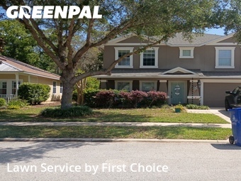 Lawn Cut nearby St. Augustine, FL, 