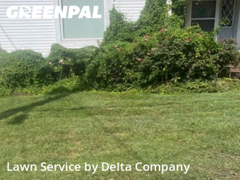 Grass Cut nearby Bowling Green, KY, 