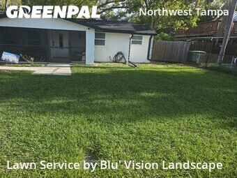 Lawn Cut nearby Tampa, FL, 