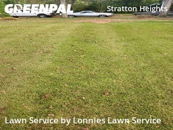Lawn Mowing in Madison, 37115, Mowing Services by Lonnies Lawn Service, work completed in Oct , 2025