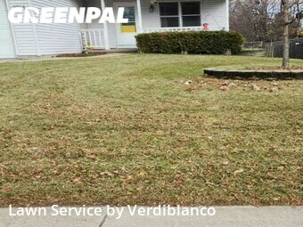 Yard Mowing nearby Madison, WI, 