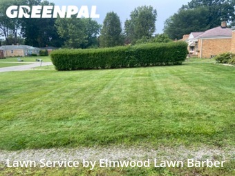 Lawn Mow nearby Avon, OH, 