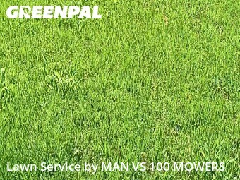 Yard Mowing nearby St. Louis, MO, 