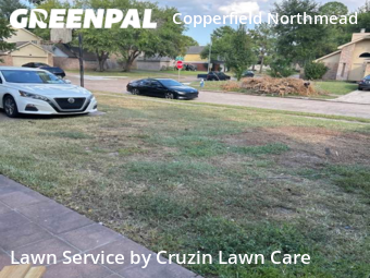 Yard Cutting nearby Houston, TX, 