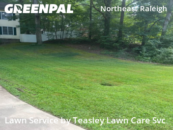 Lawn Service nearby Raleigh, NC, 