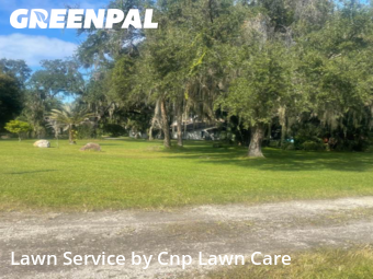 Lawn Mowing Servicein Kissimmee,34746,Lawn Mowing by Cnp Lawn Care, work completed in Nov , 2025