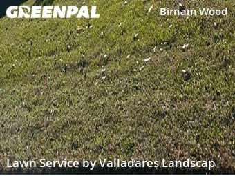 Lawn Maintenance nearby Spring, TX, 