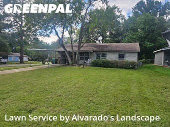 Lawn Mowing nearby Conroe, TX, 