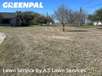 Lawn Cut nearby Cibolo, TX, 