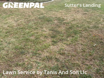 Yard Services in Gainesville, 32653, Weekly Mowing by Tanis And Son Llc, work completed in Oct , 2025