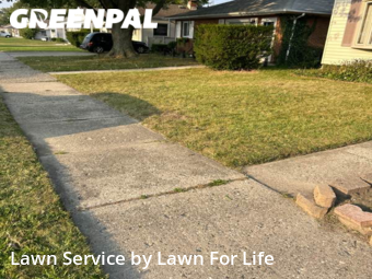 Grass Cutting nearby Roseville, MI, 
