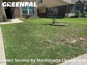 Lawn Servicein Conroe,77304,Grass Cut by Maldonado Landscapin, work completed in Jun , 2026