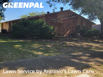 Local Lawn And Landscape Maintenance Services Near Me In Garland,75043,Landscaping Maintenance by Antonio's Lawn Care, work completed in Nov , 2025