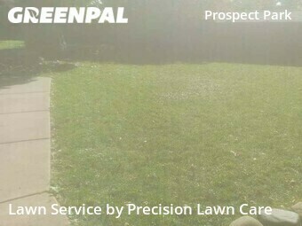 Yard Mowing nearby Minneapolis, MN, 