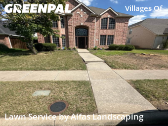 Lawn Care Servicein Plano,75024,Lawn Cutting by Alfas Landscaping, work completed in Nov , 2025