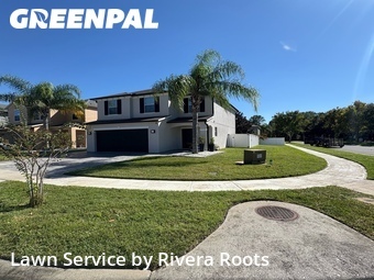 Grass Cut nearby Kissimmee, FL, 