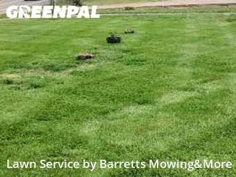 Yard Mowing nearby Clarksville, TN, 