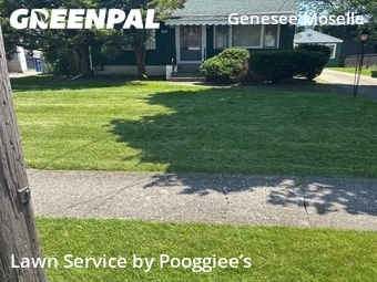Lawn Mowing Service nearby Buffalo, NY, 