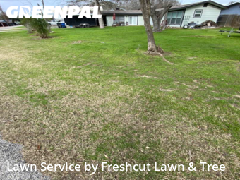 Lawn Maintenance nearby New Braunfels, TX, 